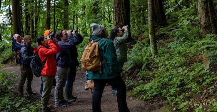 Volunteers birdwatching in Forest Park